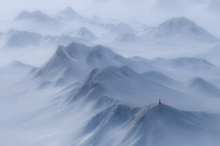 Shu ZHANG
